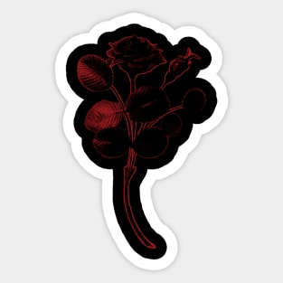 Rosa de Pelagio Black Rose Red Outline Image Sticker